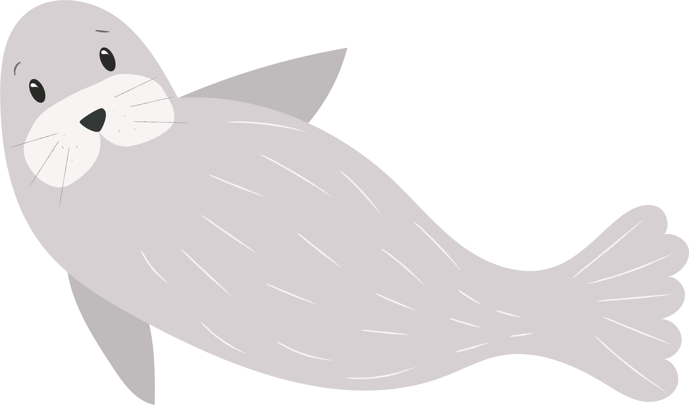 Fóka