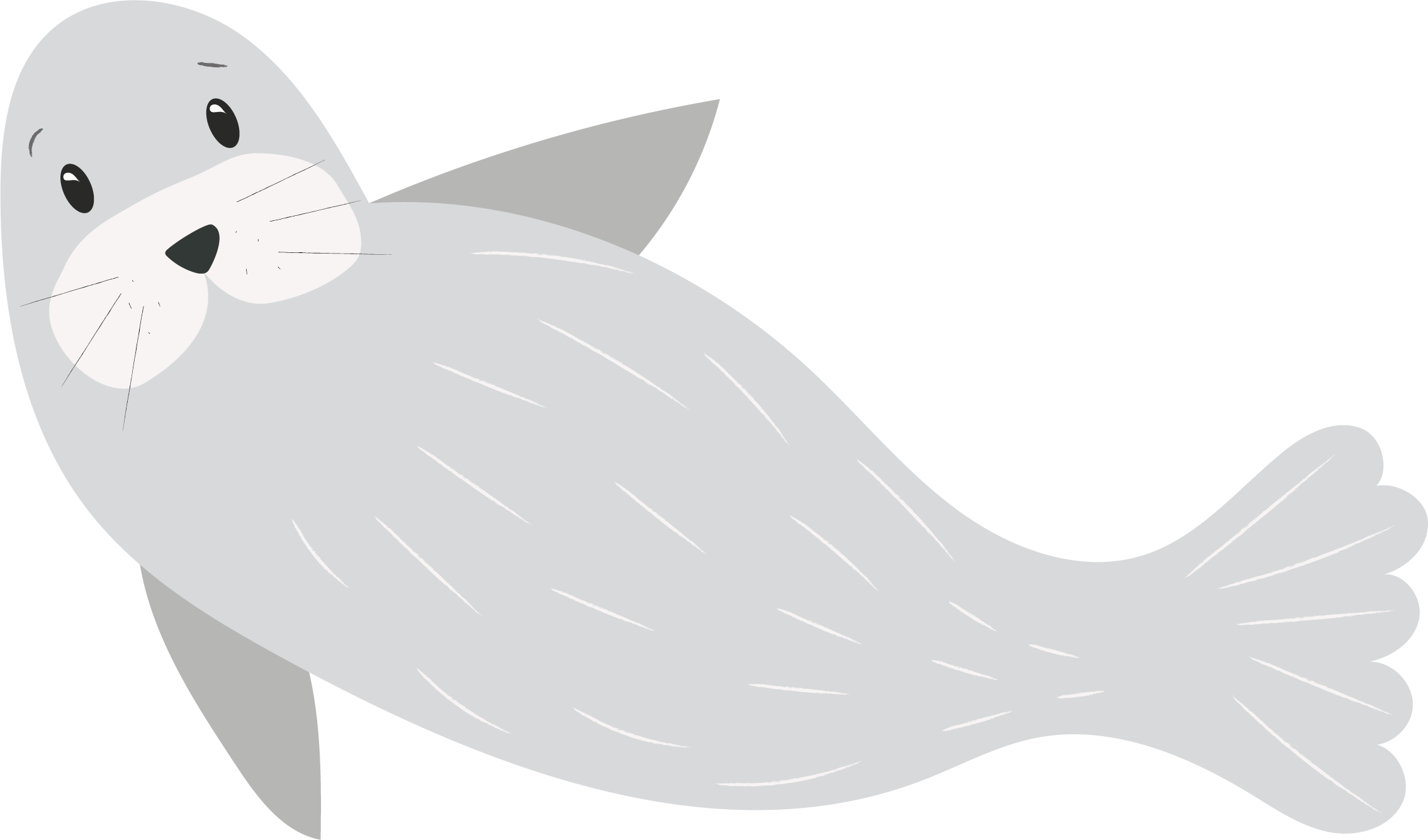 Fóka