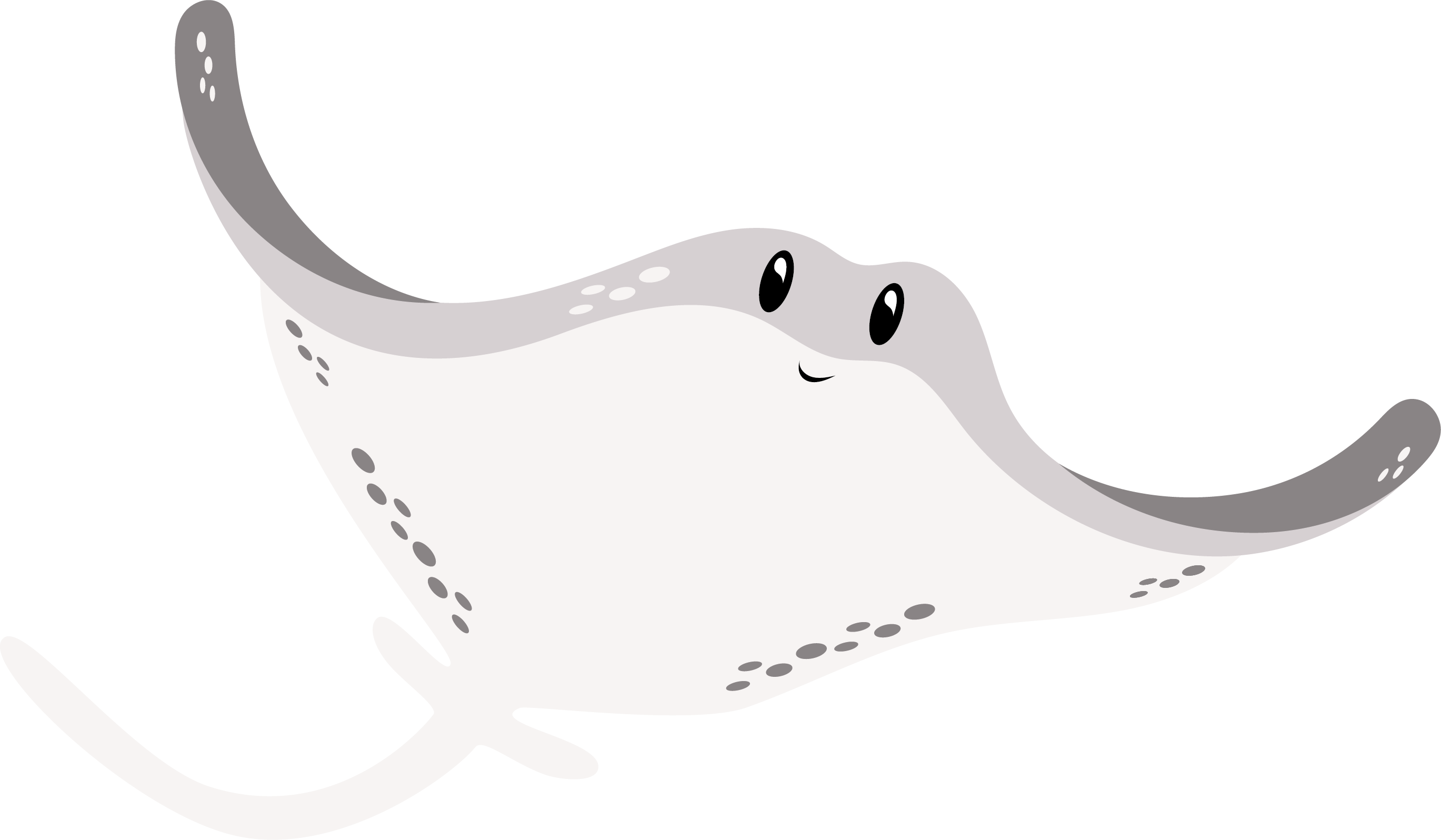 Manta rája