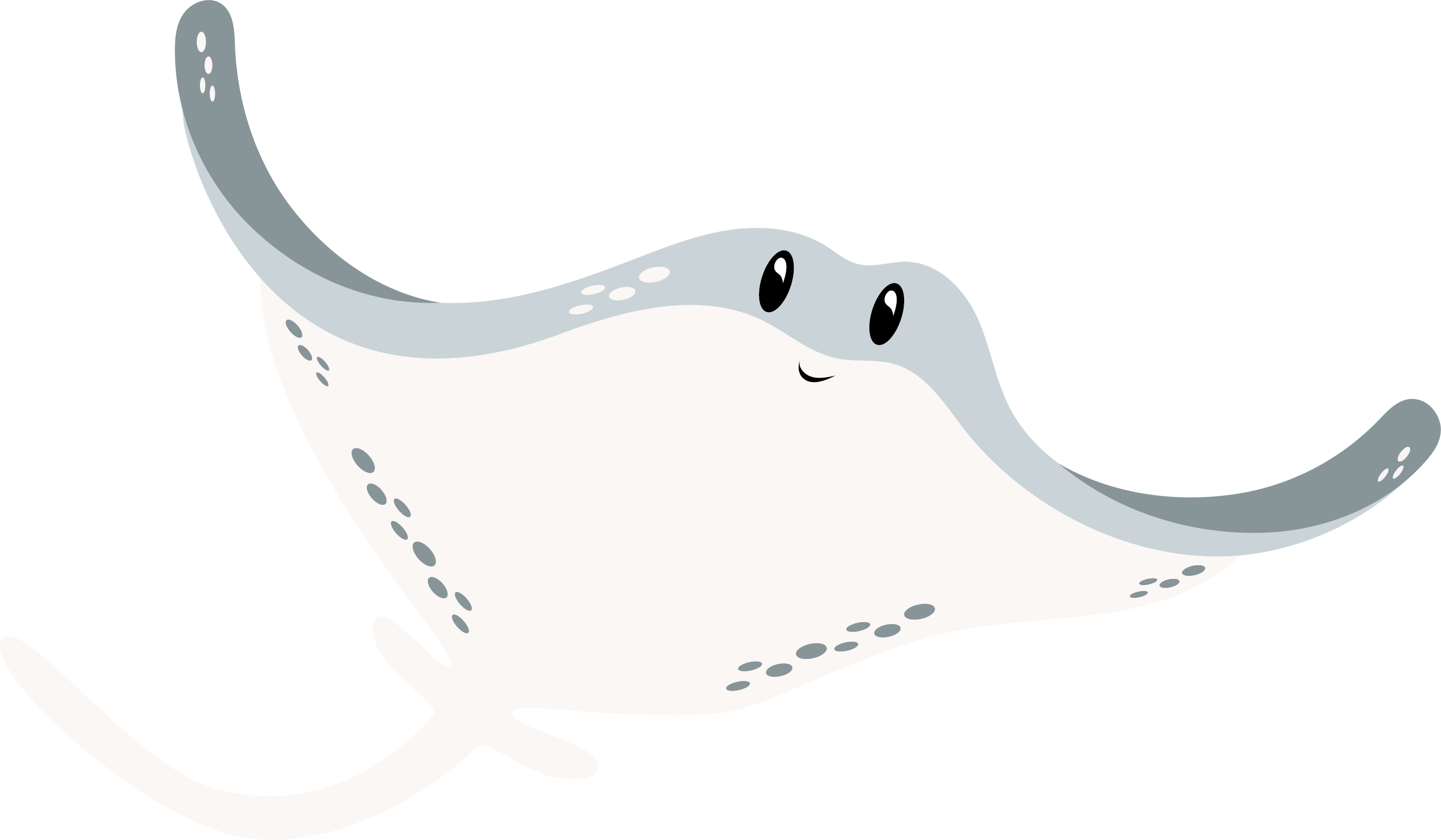Manta rája
