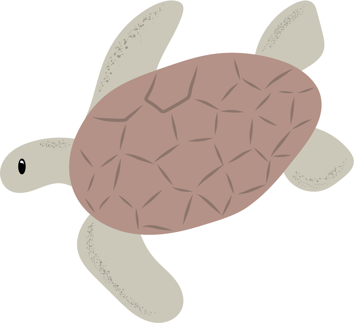 Teknős