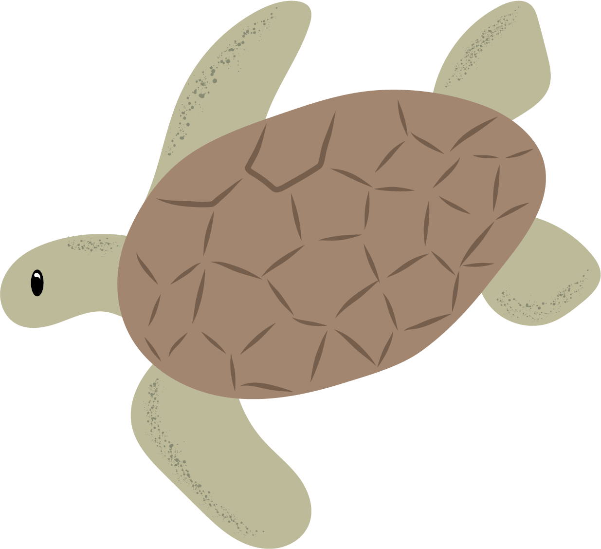 Teknős