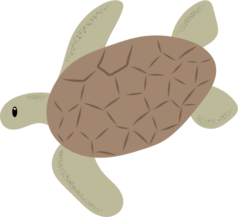 Teknős
